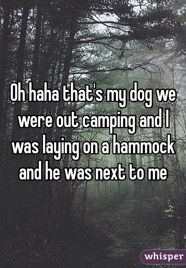 Oh haha that's my dog we were out camping and I was laying on a hammock and he was next to me 