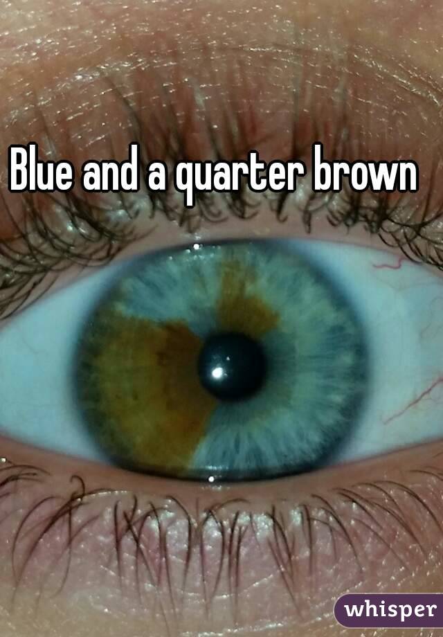 Blue and a quarter brown 