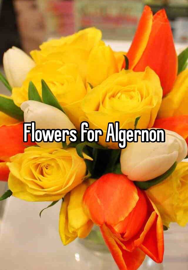 Flowers for Algernon