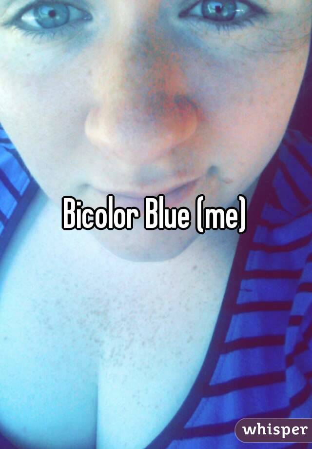 Bicolor Blue (me)