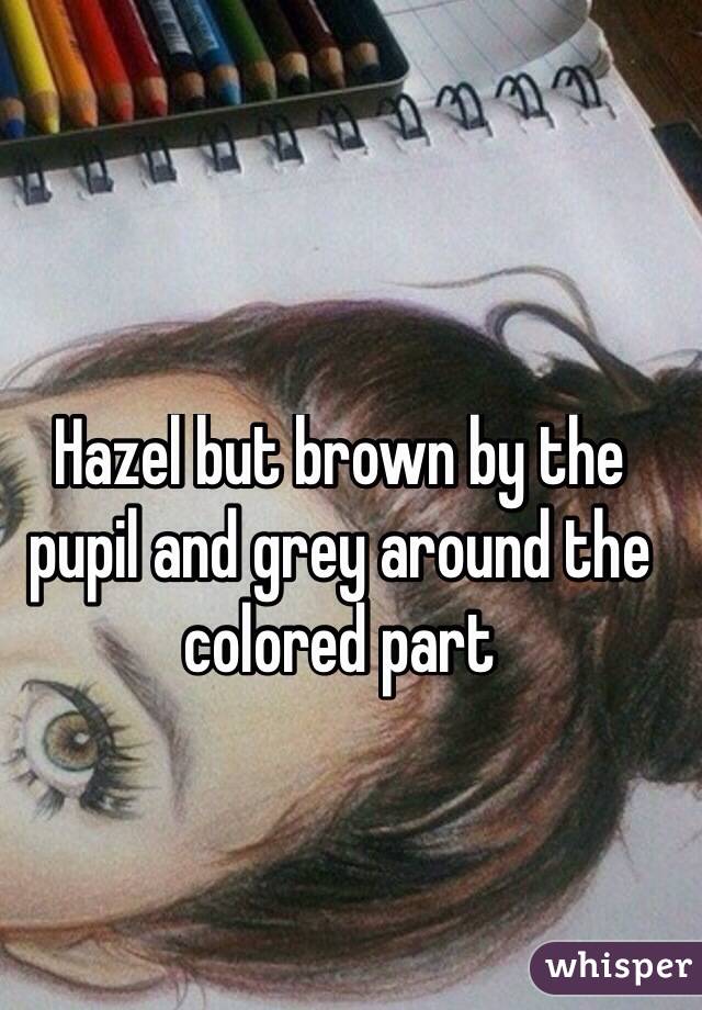 Hazel but brown by the pupil and grey around the colored part
