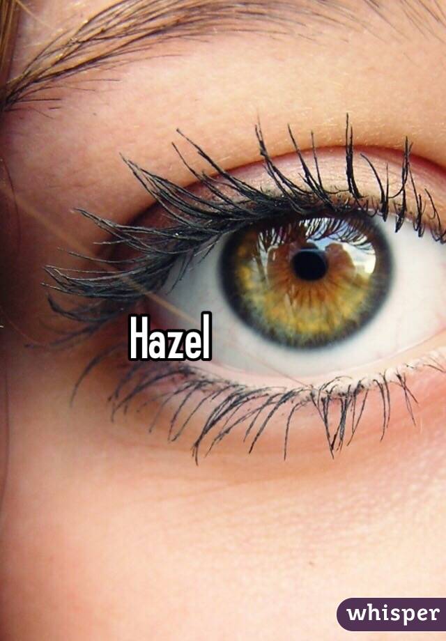 Hazel 