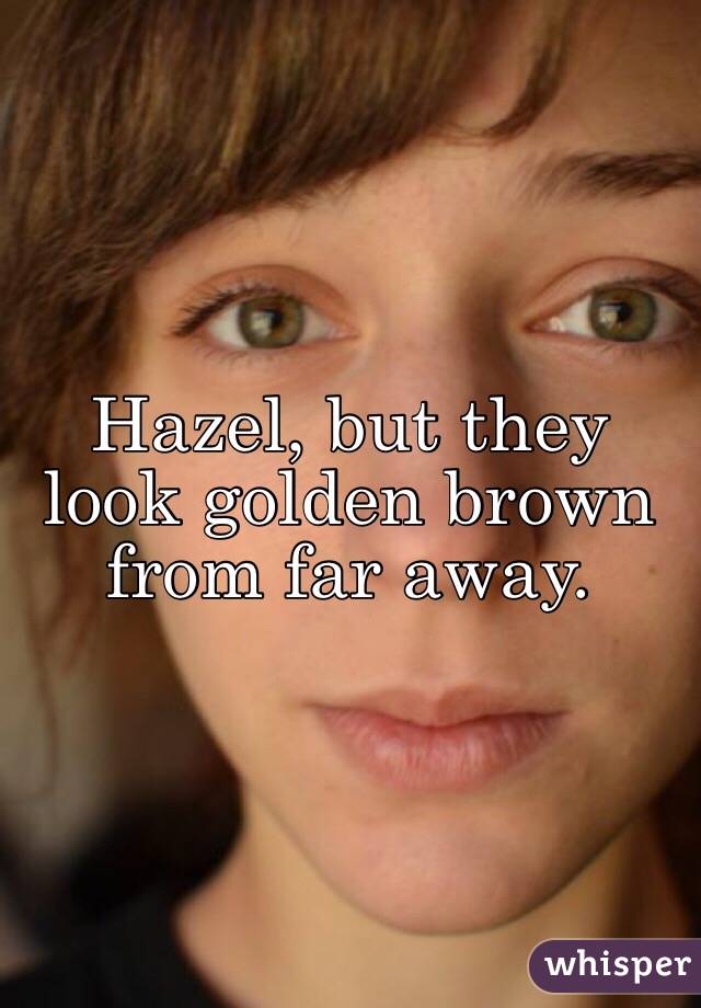 Hazel, but they look golden brown from far away. 