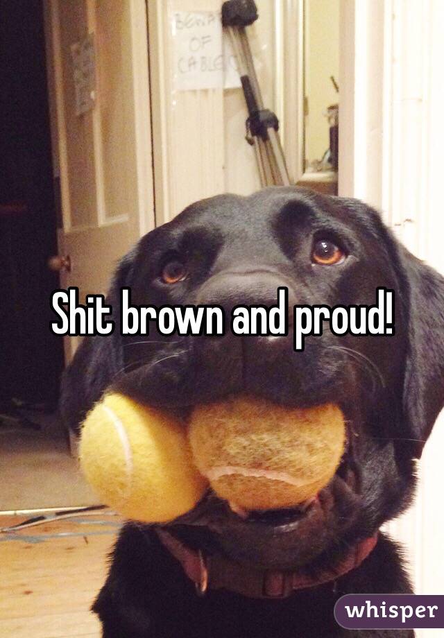 Shit brown and proud!