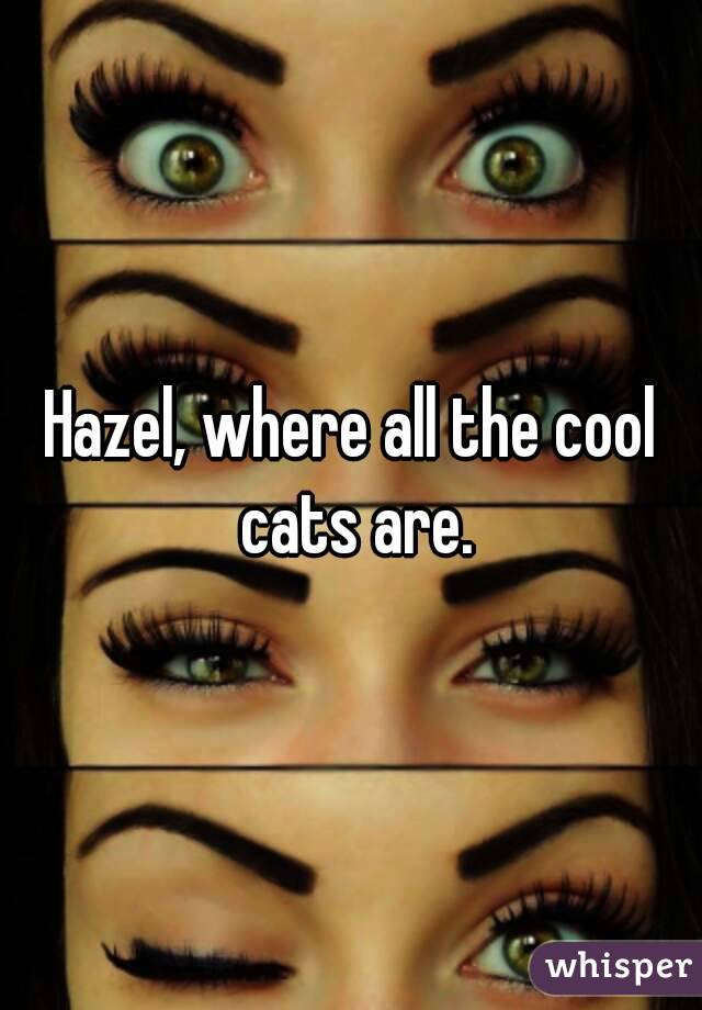 Hazel, where all the cool cats are.