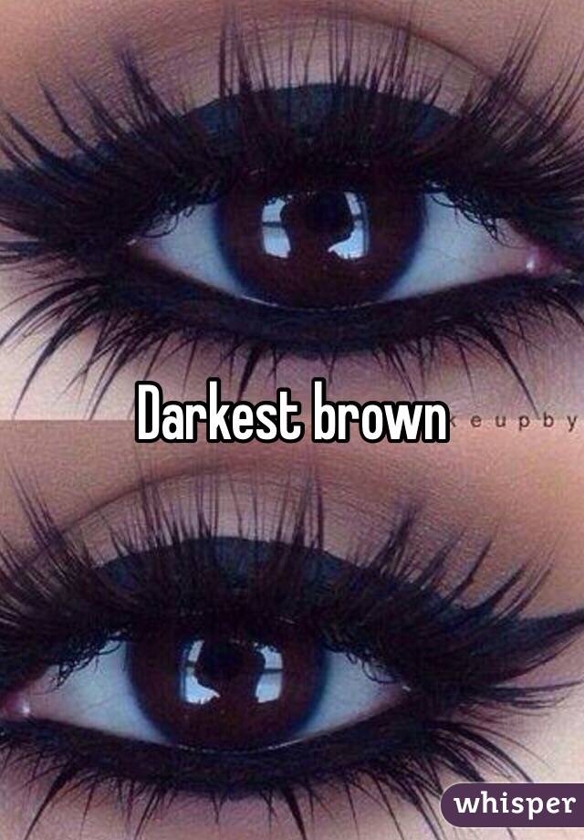 Darkest brown