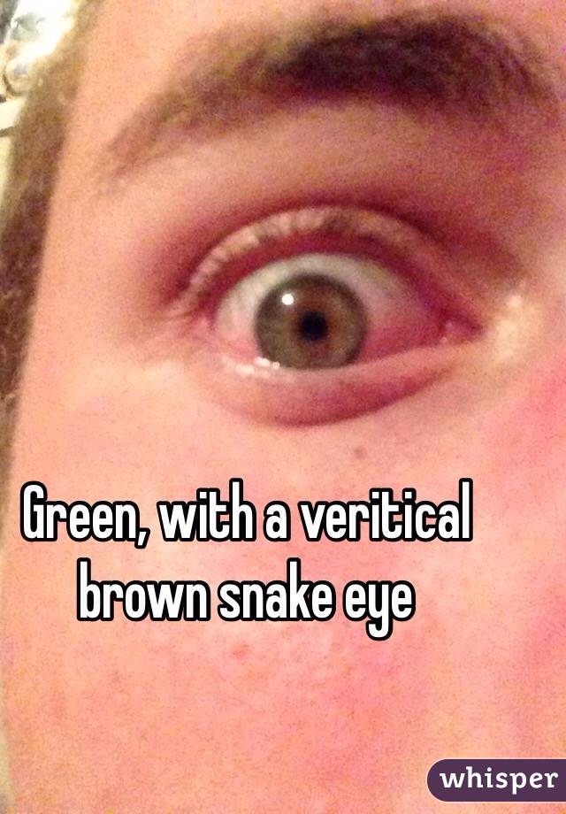 Green, with a veritical brown snake eye