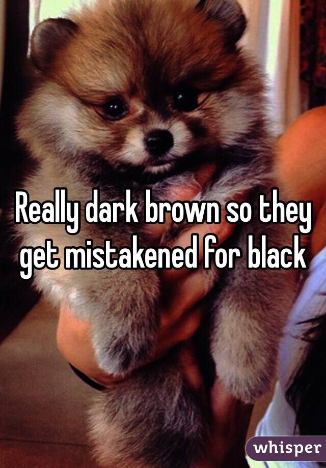 Really dark brown so they get mistakened for black