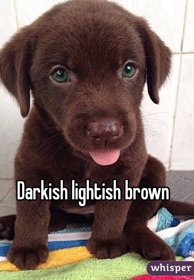 Darkish lightish brown 