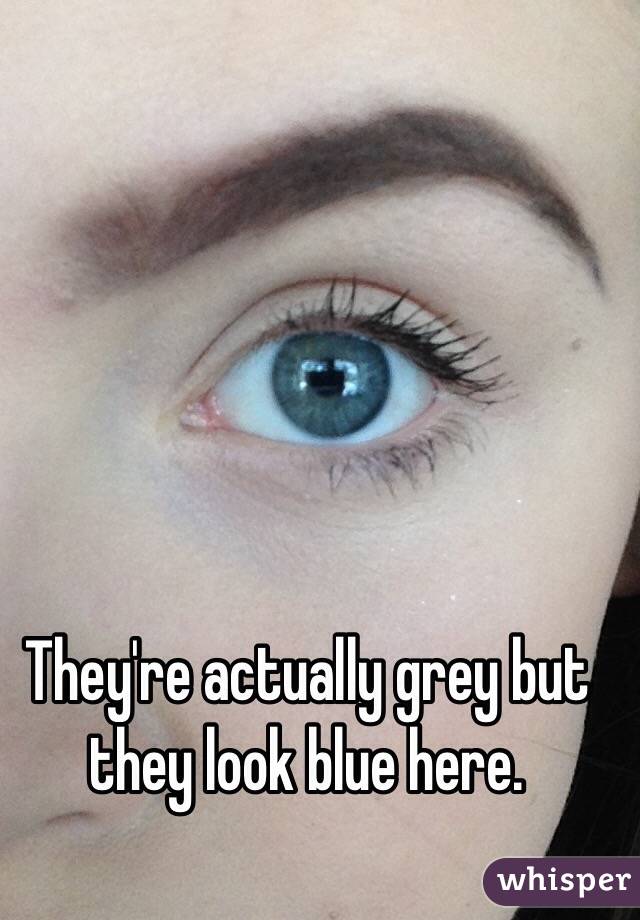 They're actually grey but they look blue here.