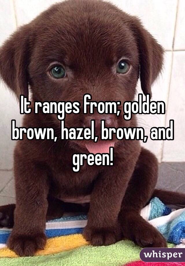 It ranges from; golden brown, hazel, brown, and green! 