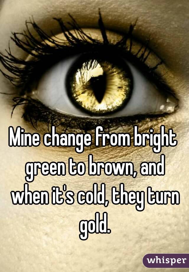 Mine change from bright green to brown, and when it's cold, they turn gold.