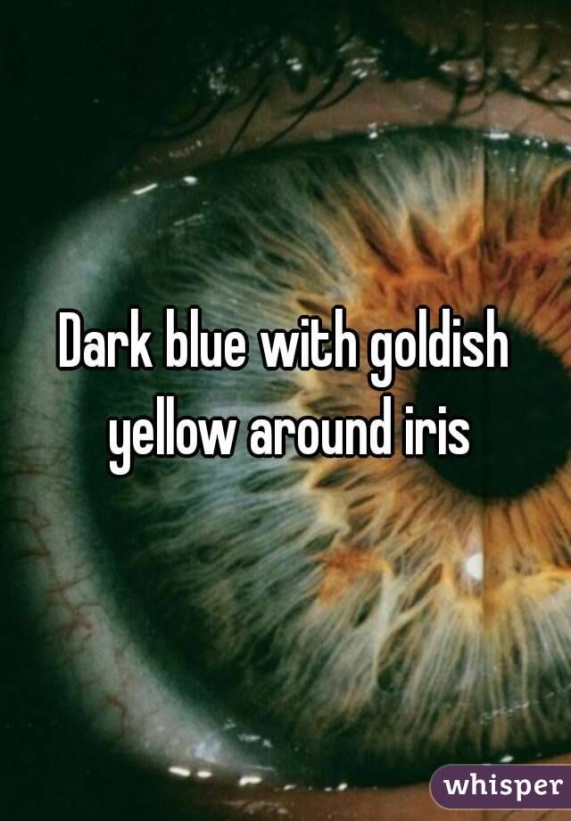 Dark blue with goldish yellow around iris