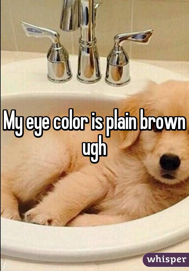 My eye color is plain brown ugh