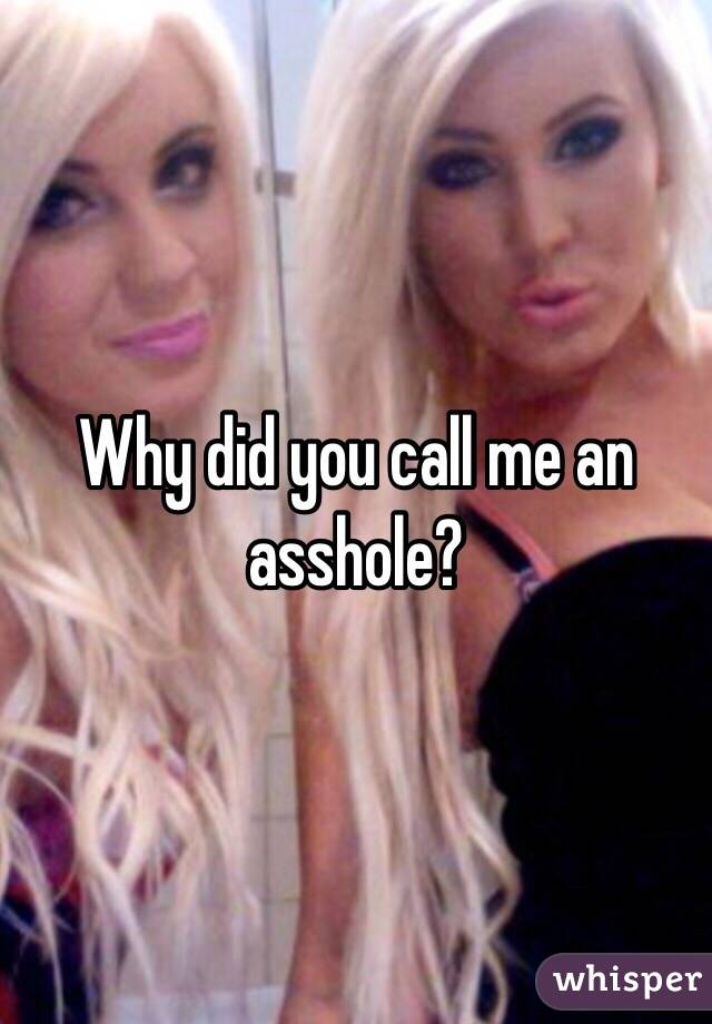 Why did you call me an asshole?