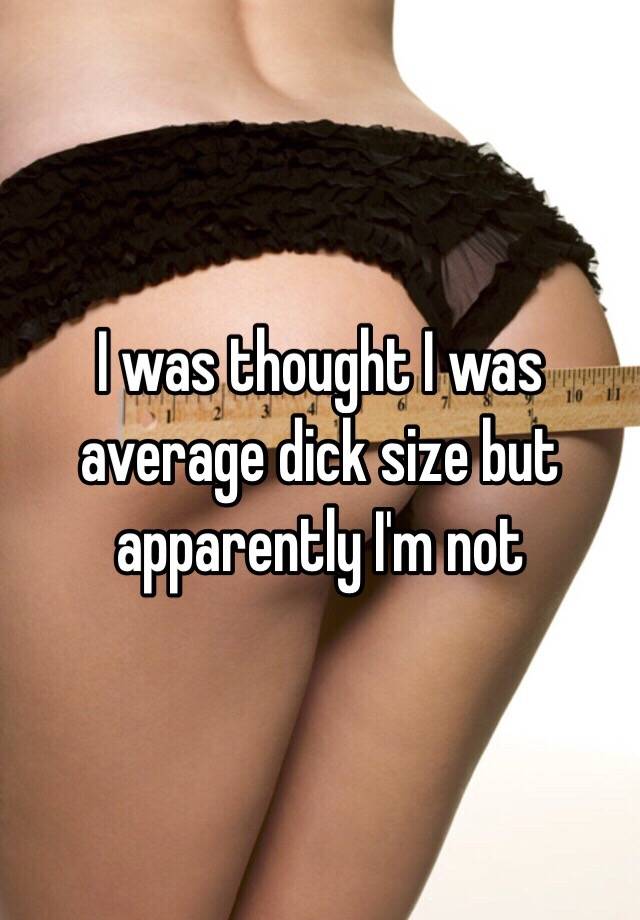 Average Dick Size 15