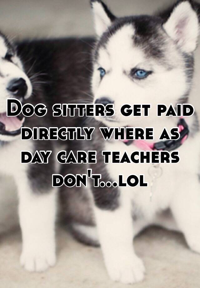 dog-sitters-get-paid-directly-where-as-day-care-teachers-don-t-lol