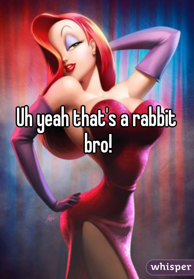 Uh yeah that's a rabbit bro!