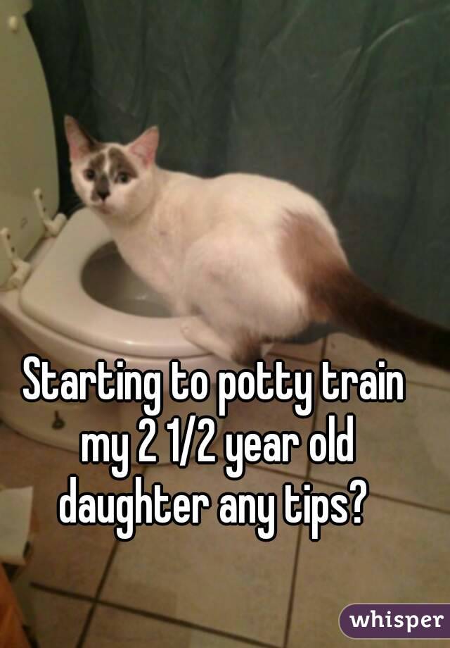 Starting to potty train my 2 1/2 year old daughter any tips? 