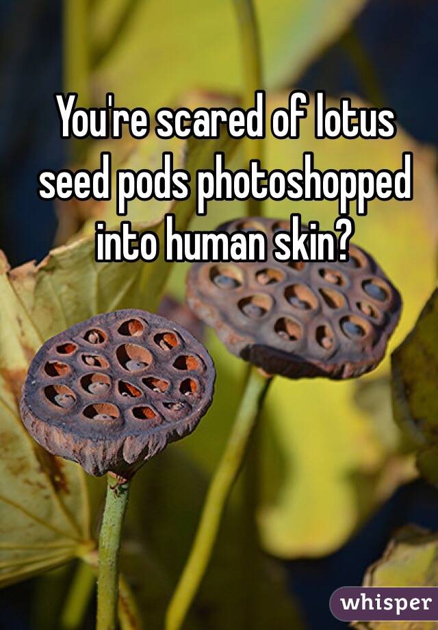 You're scared of lotus seed pods photoshopped into human skin?