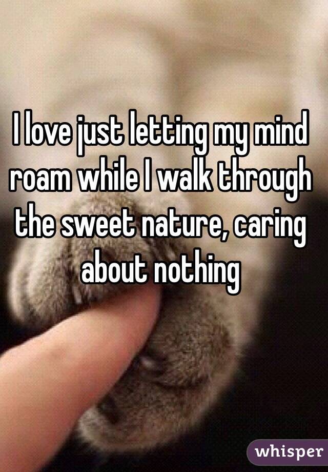 I love just letting my mind roam while I walk through the sweet nature, caring about nothing 