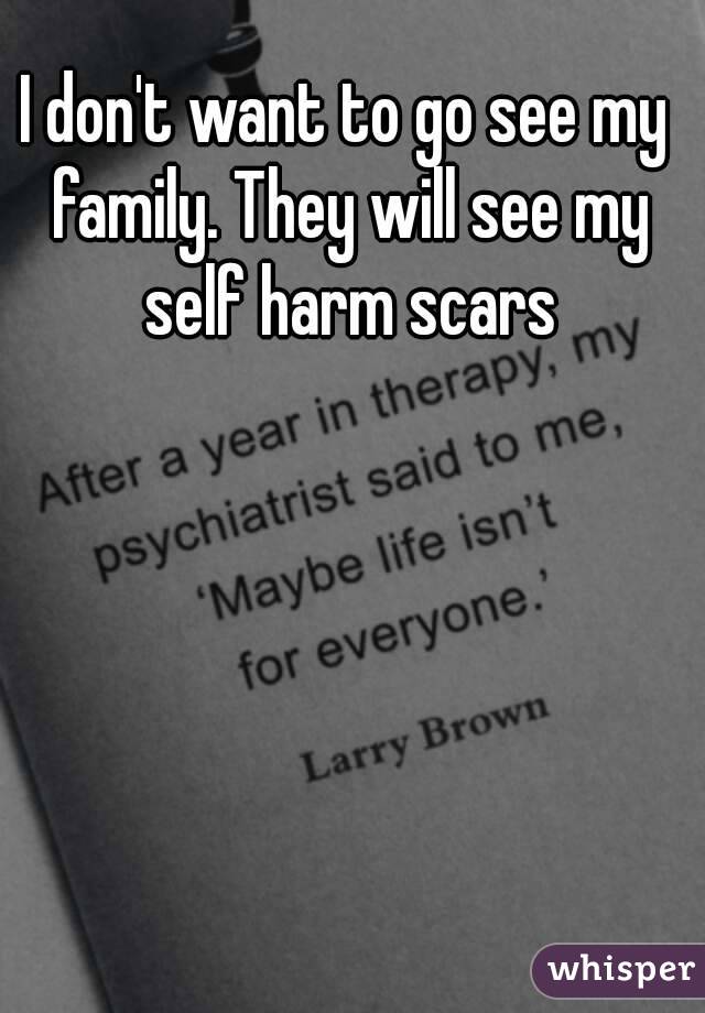 I don't want to go see my family. They will see my self harm scars