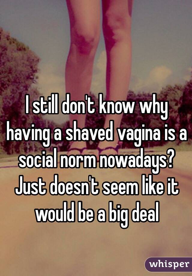 I still don't know why having a shaved vagina is a social norm nowadays? Just doesn't seem like it would be a big deal