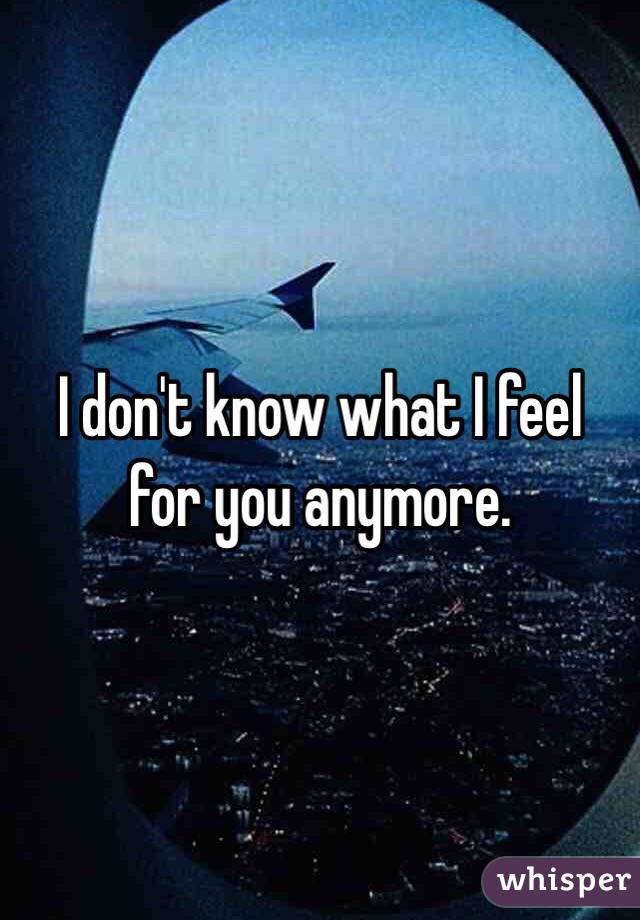 I don't know what I feel for you anymore. 