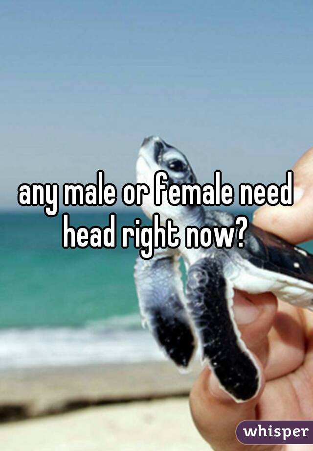 any male or female need head right now? 