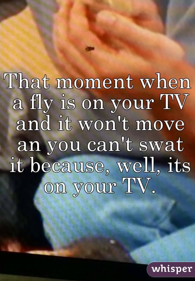 That moment when a fly is on your TV and it won't move an you can't swat it because, well, its on your TV.