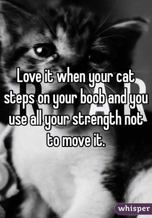 Love it when your cat steps on your boob and you use all your strength not to move it. 