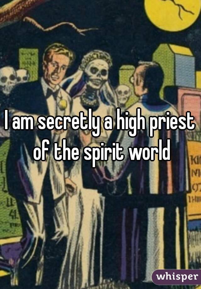 I am secretly a high priest of the spirit world