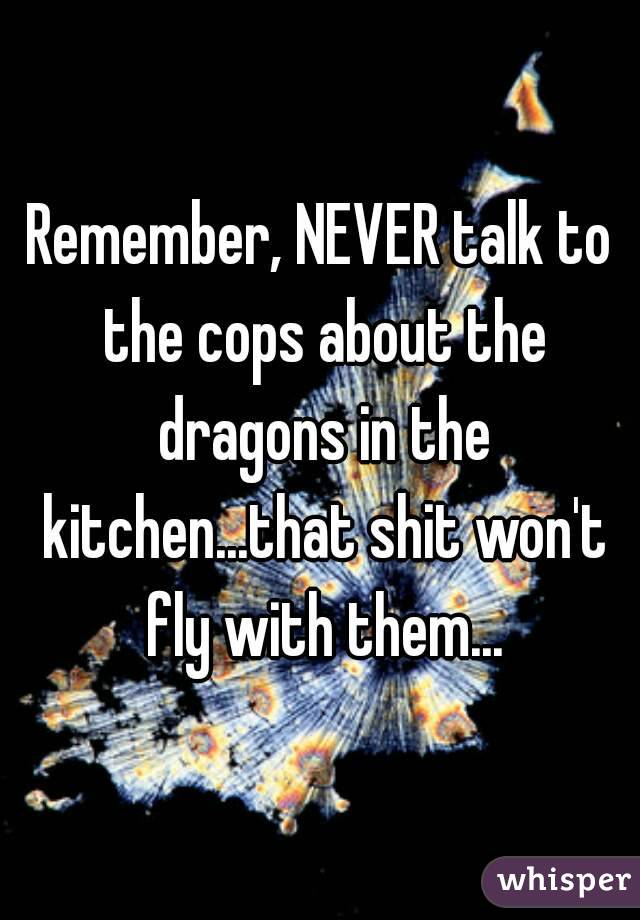 Remember, NEVER talk to the cops about the dragons in the kitchen...that shit won't fly with them...