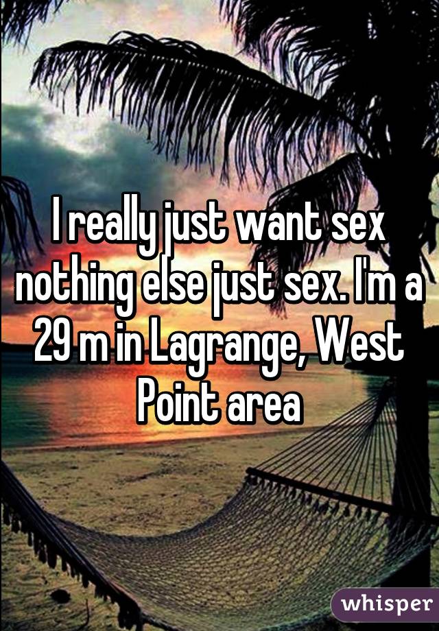 I really just want sex nothing else just sex. I'm a 29 m in Lagrange, West Point area