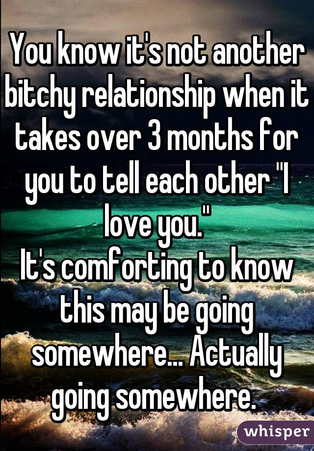 You know it's not another bitchy relationship when it takes over 3 months for you to tell each other "I love you."
It's comforting to know this may be going somewhere... Actually going somewhere. 