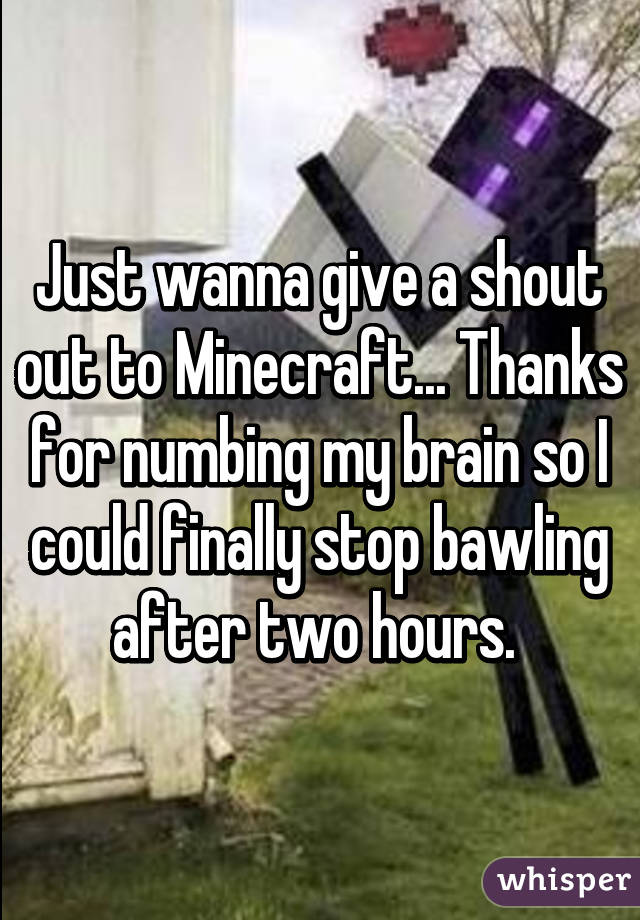 Just wanna give a shout out to Minecraft... Thanks for numbing my brain so I could finally stop bawling after two hours. 