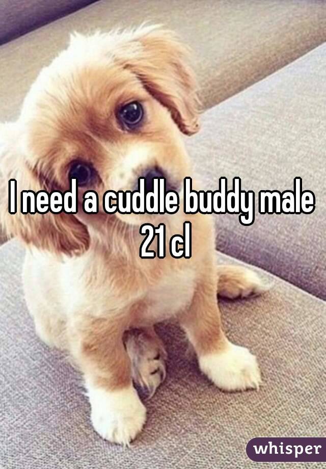 I need a cuddle buddy male 21 cl