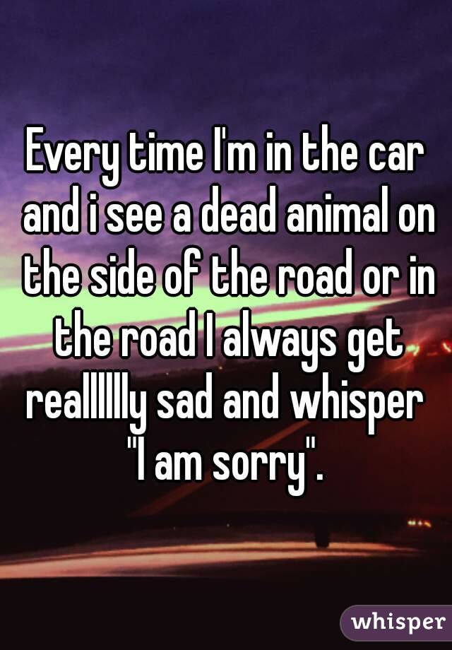 Every time I'm in the car and i see a dead animal on the side of the road or in the road I always get realllllly sad and whisper 
"I am sorry".