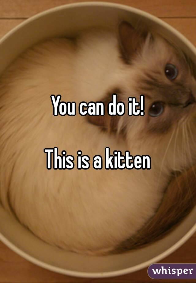 You can do it!

This is a kitten