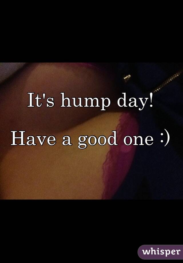 It's hump day! 

Have a good one :)