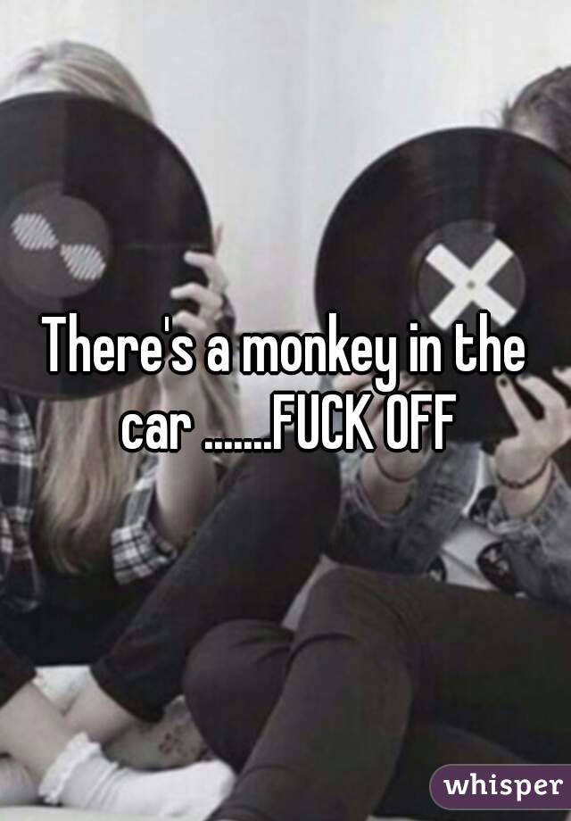 There's a monkey in the car .......FUCK OFF