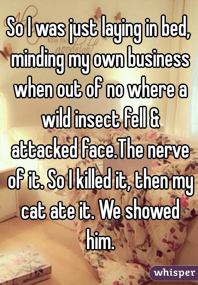 So I was just laying in bed, minding my own business when out of no where a wild insect fell & attacked face.The nerve of it. So I killed it, then my cat ate it. We showed him.