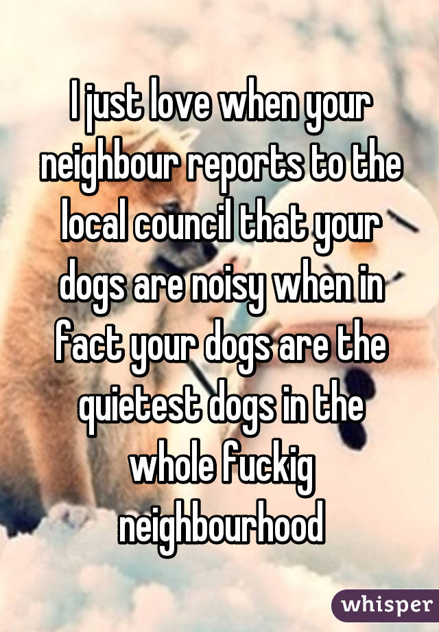 I just love when your neighbour reports to the local council that your dogs are noisy when in fact your dogs are the quietest dogs in the whole fuckig neighbourhood