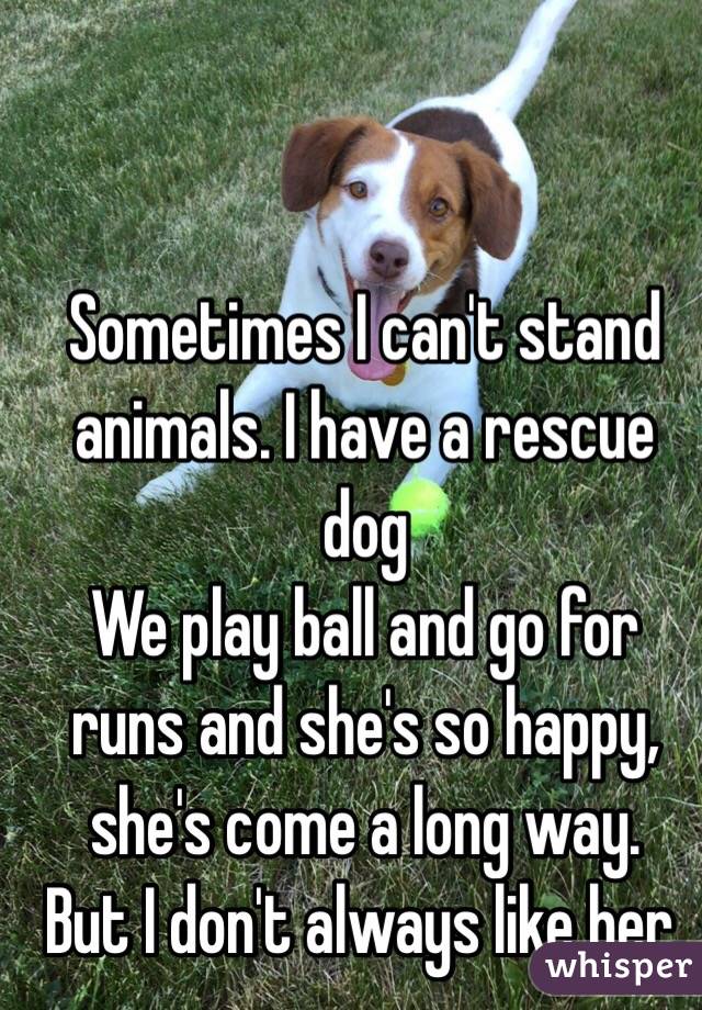 Sometimes I can't stand animals. I have a rescue dog 
We play ball and go for runs and she's so happy, she's come a long way. 
But I don't always like her.