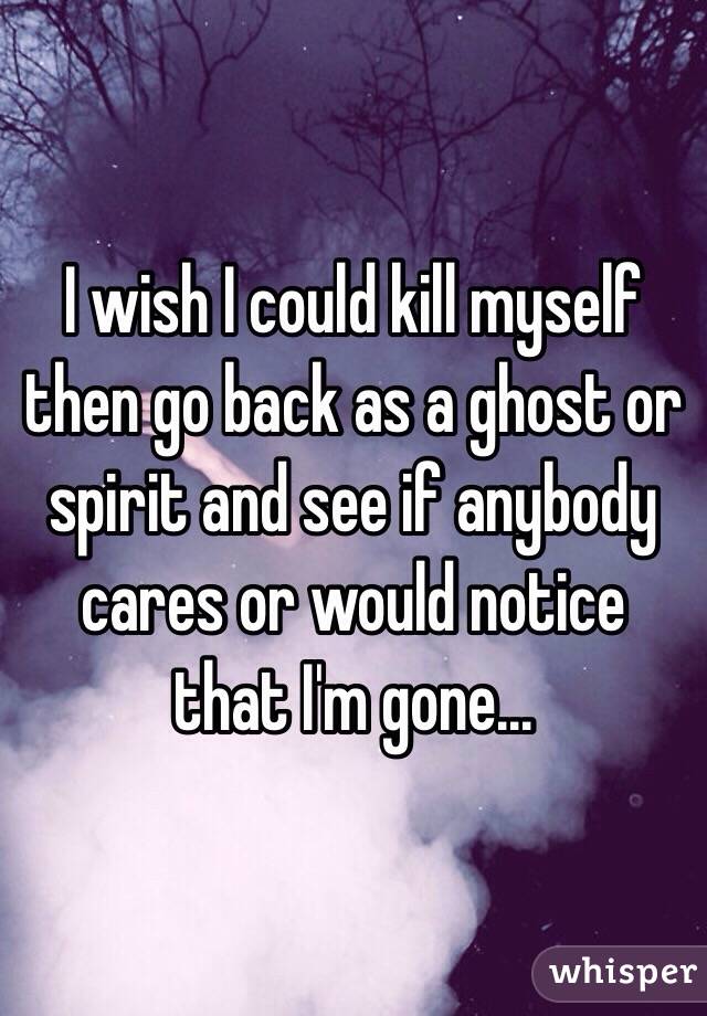 I wish I could kill myself then go back as a ghost or spirit and see if anybody cares or would notice that I'm gone...