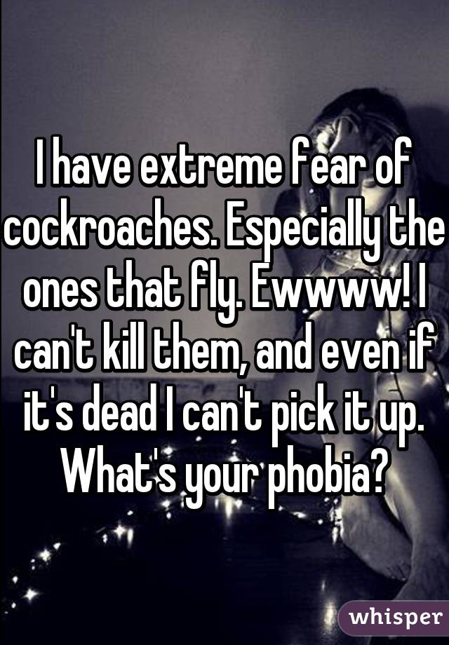 I have extreme fear of cockroaches. Especially the ones that fly. Ewwww! I can't kill them, and even if it's dead I can't pick it up. What's your phobia?