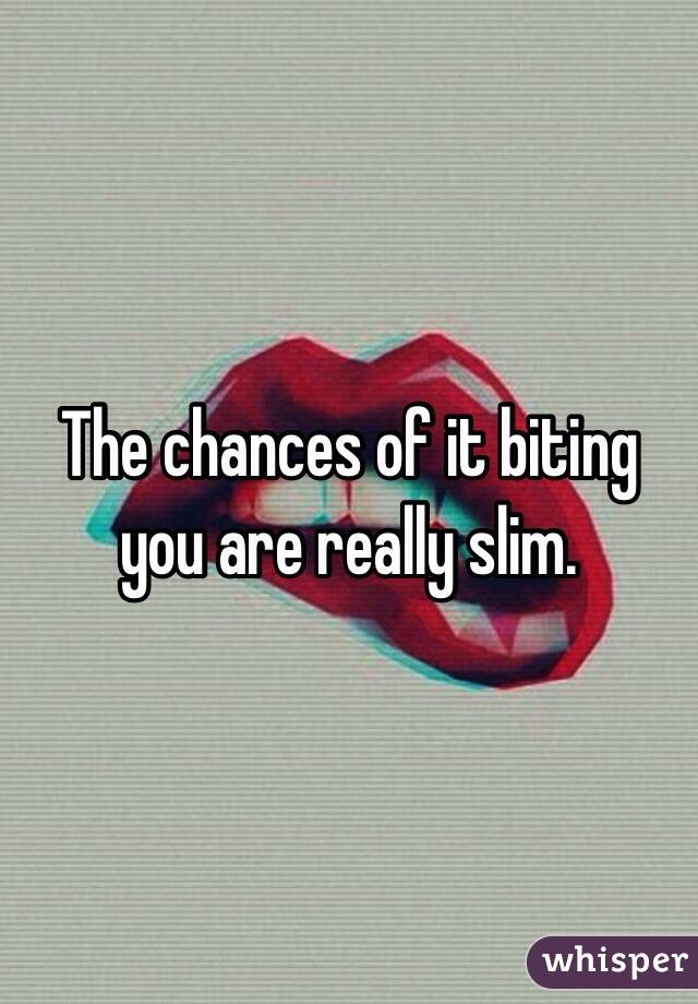 The chances of it biting you are really slim.