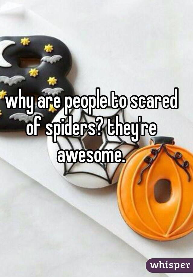 why are people to scared of spiders? they're awesome. 