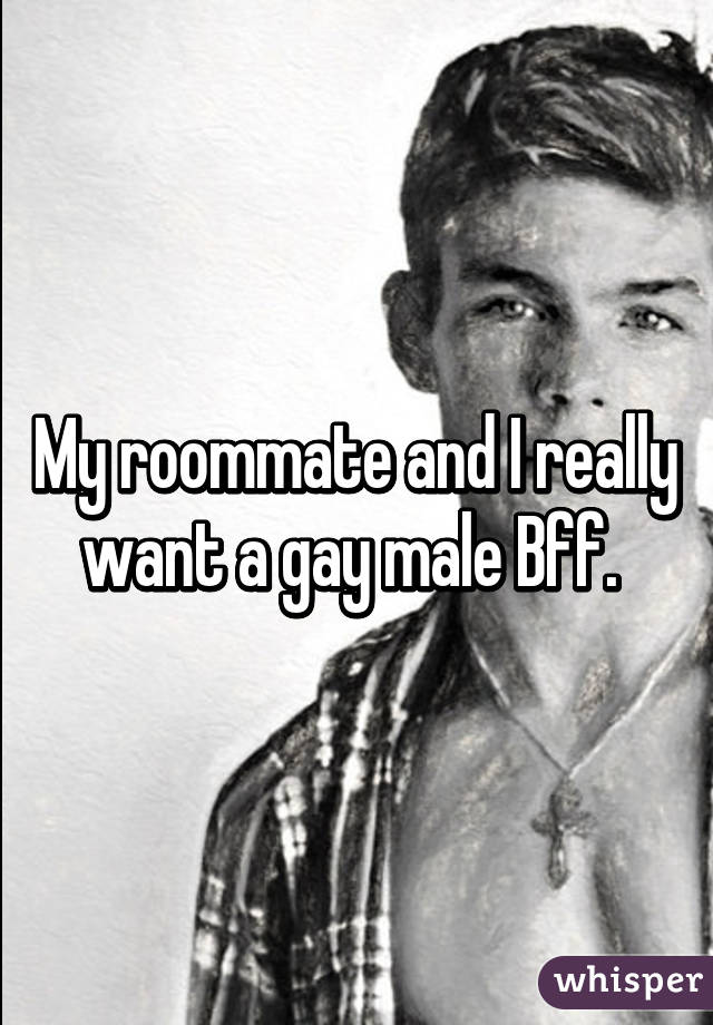 My roommate and I really want a gay male Bff. 