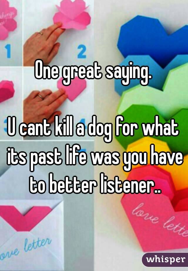 One great saying.

U cant kill a dog for what its past life was you have to better listener..